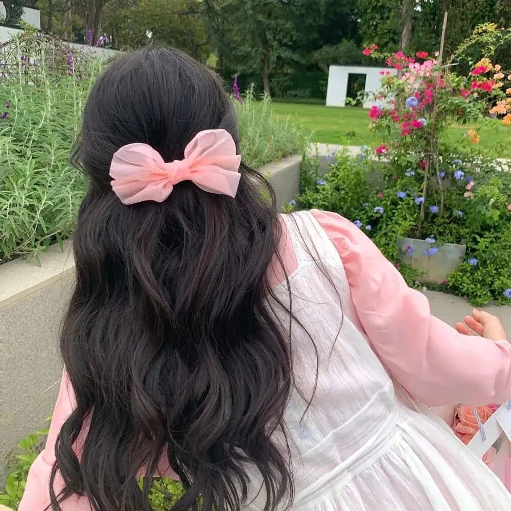 凤唳九天之焰赤篇