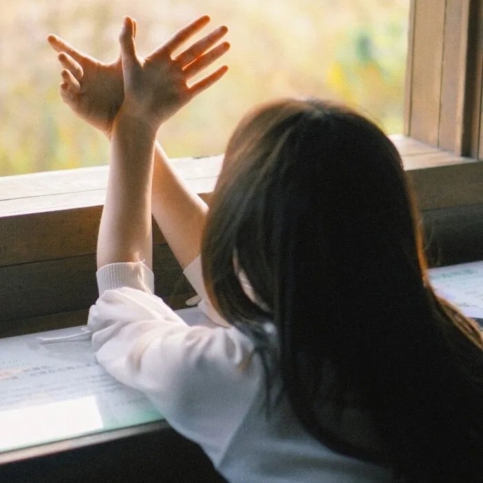 来自天堂的最好朋友